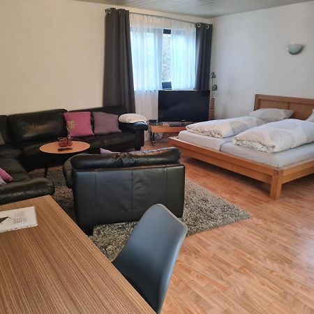 Apartment Zum Wohlfuehlen In Ruhiger Lage 普丰斯塔特 外观 照片